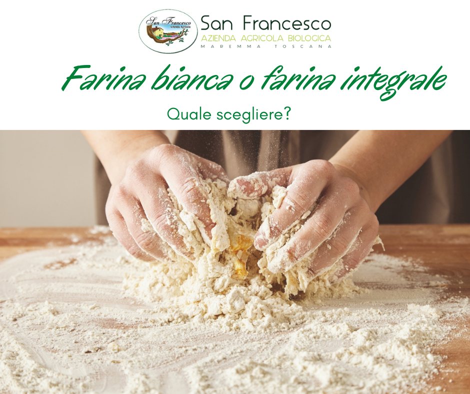 vendita-farine-biologiche-online-San-Francesco-Bio