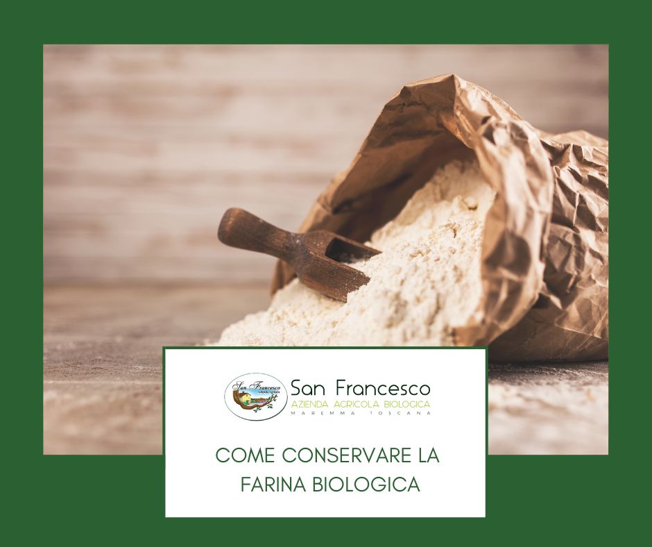 Come conservare la farina biologica, guida pratica dell'azienda san francesco bio