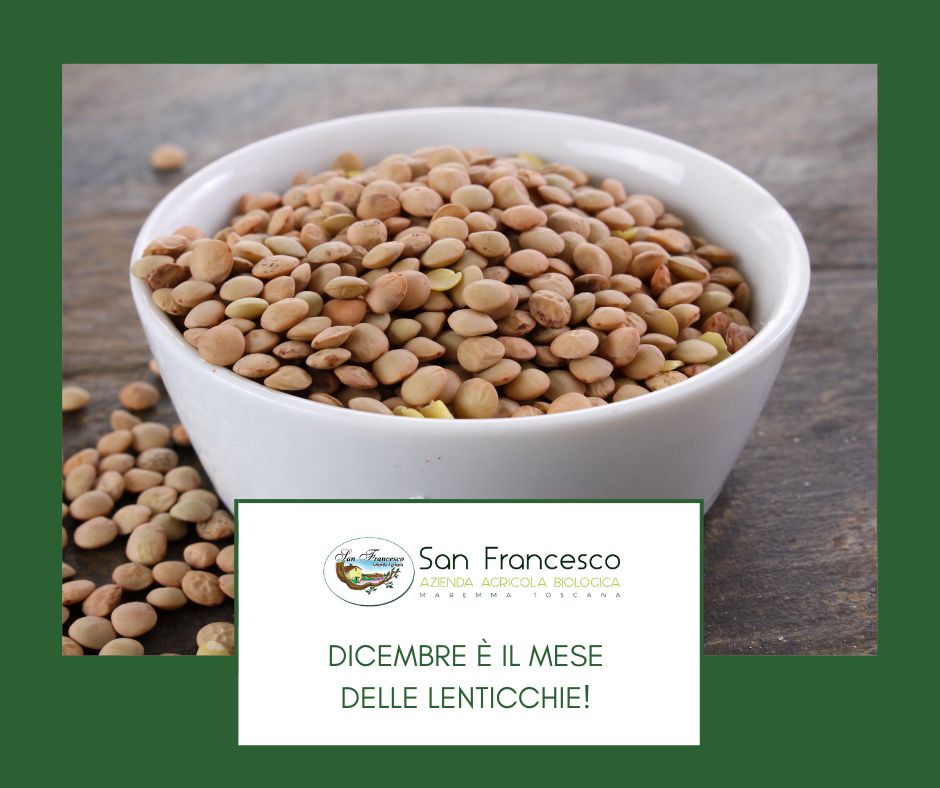 Lenticchie Biologiche dell'Azienda San Francesco Bio