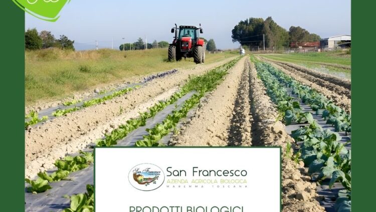 Prodotti biologici Certificati - Azienda San Francesco Bio.jpg