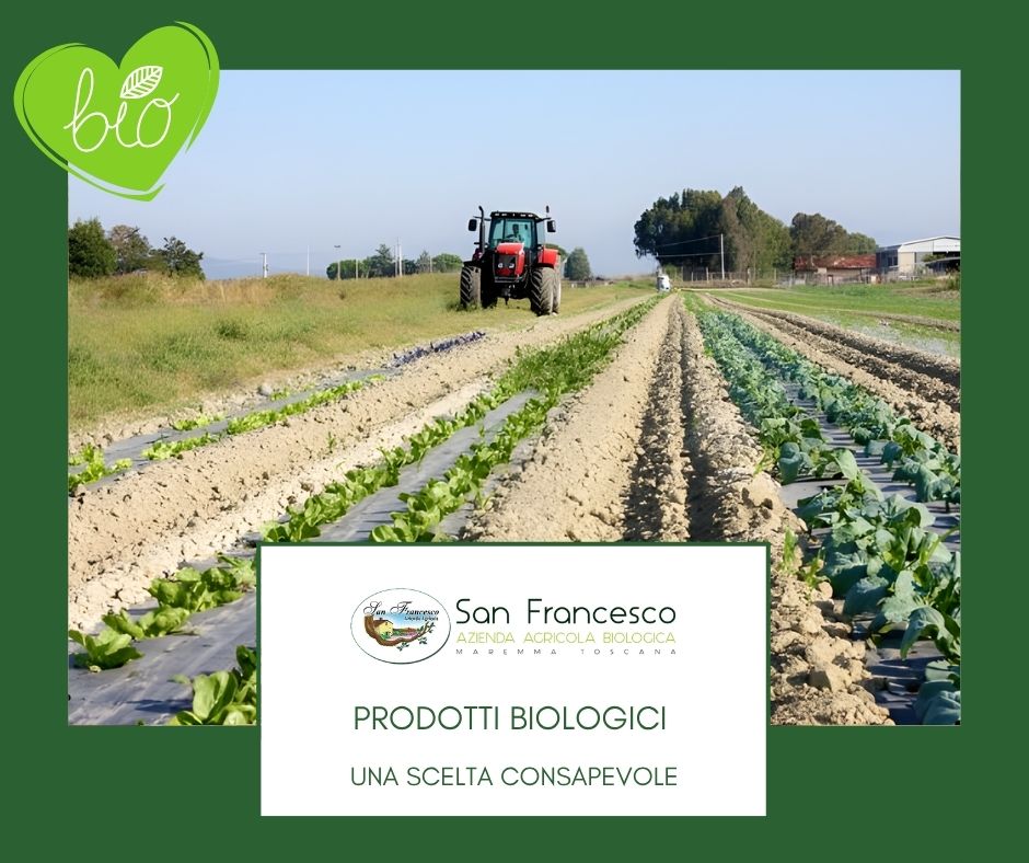 Prodotti biologici Certificati - Azienda San Francesco Bio.jpg
