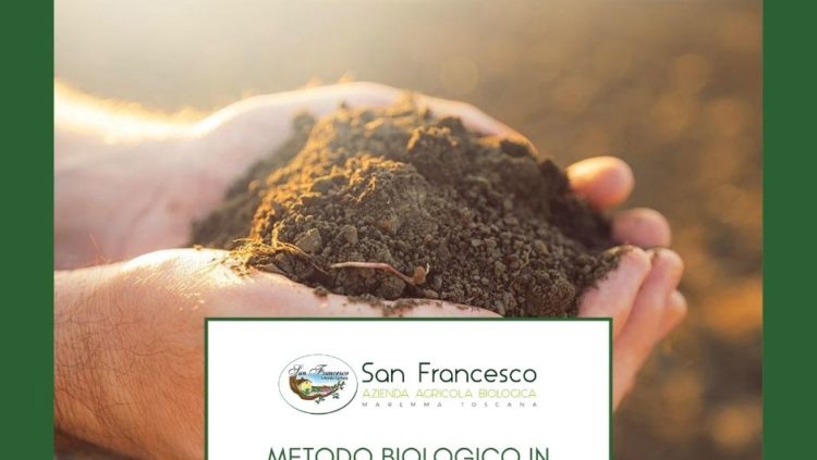 Metodo Biologico in agricoltura Azienda San Francesco Bio