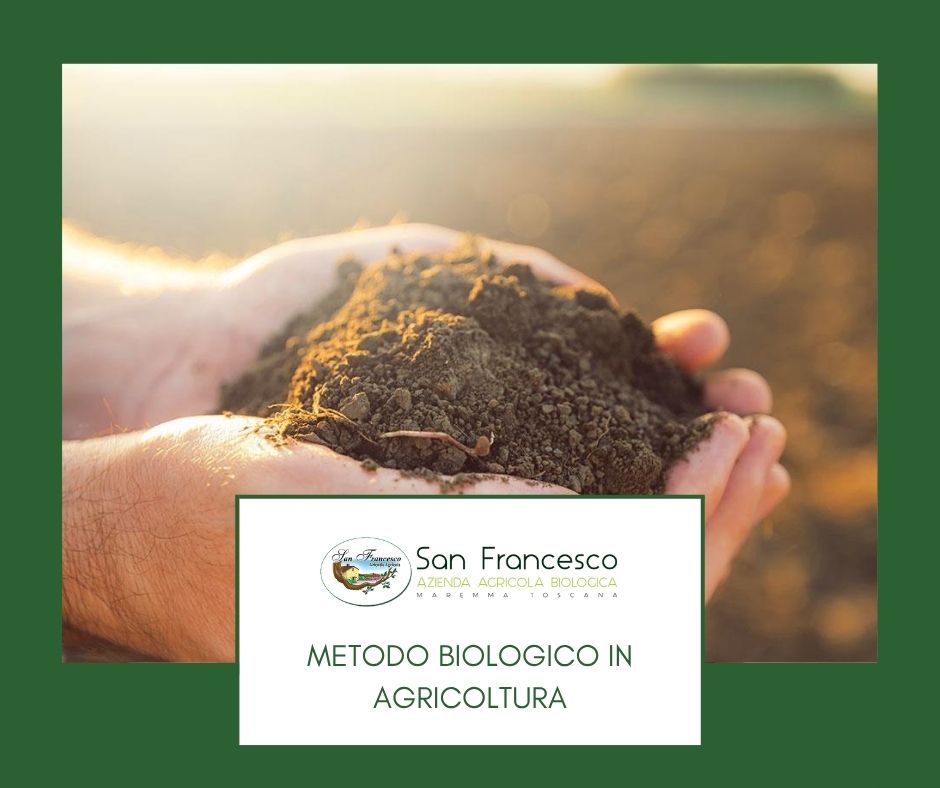 Metodo Biologico in agricoltura Azienda San Francesco Bio