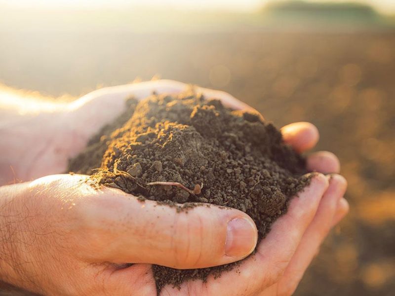 Metodo Biologico in agricolutira, azienda san francesco, shop online