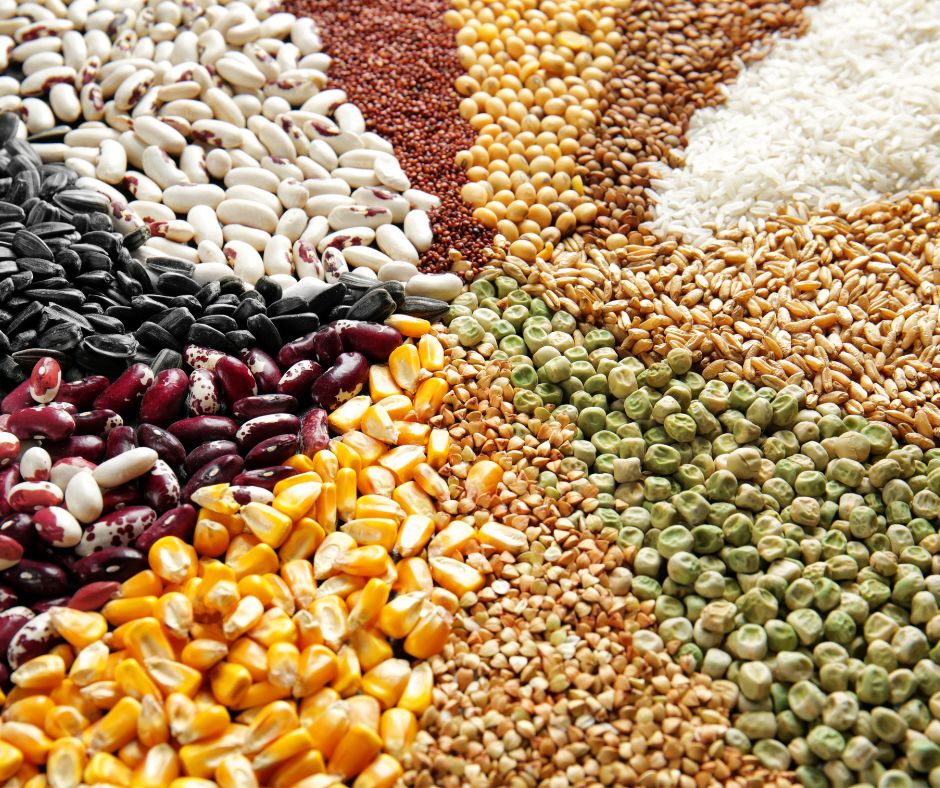 Cereali Biologici - Azienda San Fracesco Bio