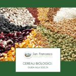 Cereali biologici guida alla scelta - Azienda San Francesco Bio