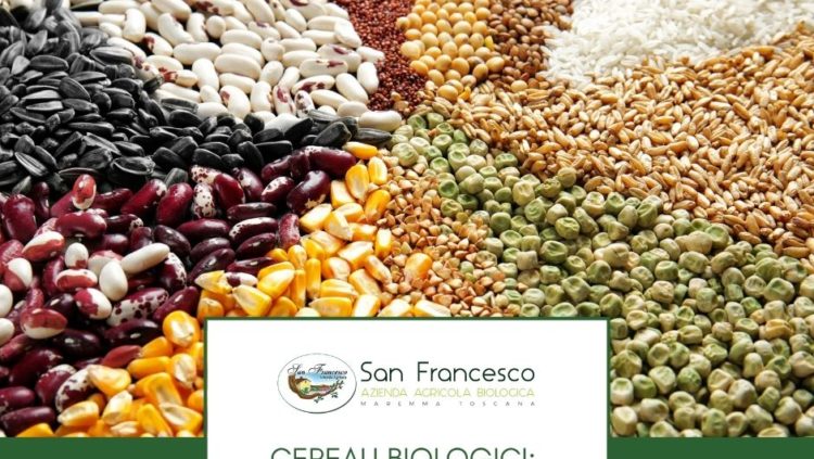 Cereali biologici guida alla scelta - Azienda San Francesco Bio