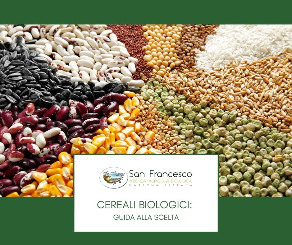 Cereali biologici guida alla scelta - Azienda San Francesco Bio